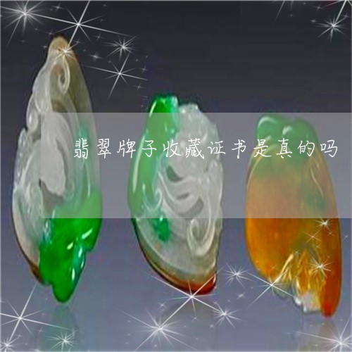翡翠牌子收藏证书是真的吗/2023062873583 翡翠牌子收藏证书是真的吗/2023062873583