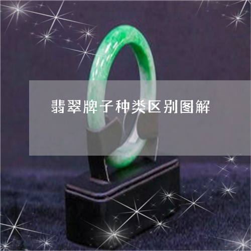 翡翠牌子种类区别图解/2023060940371