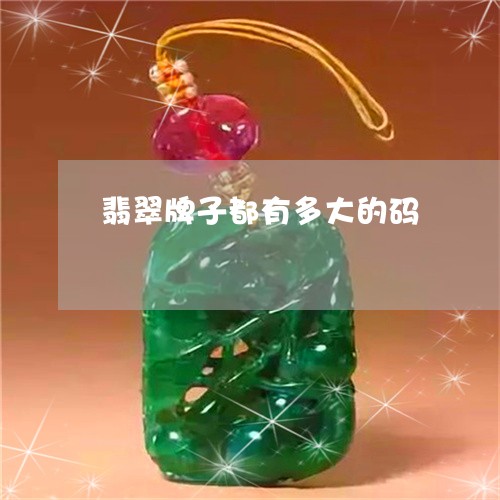 翡翠牌子都有多大的码 翡翠牌子都有多大的码