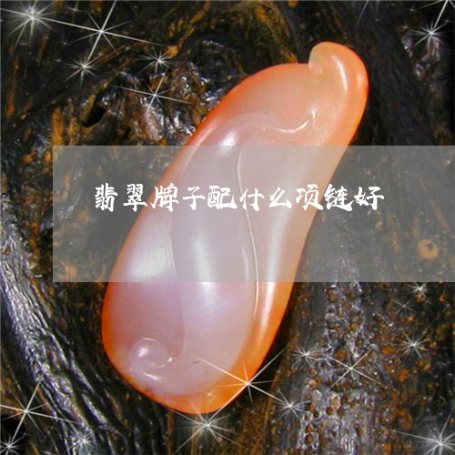 翡翠牌子配什么项链好/2023060969481