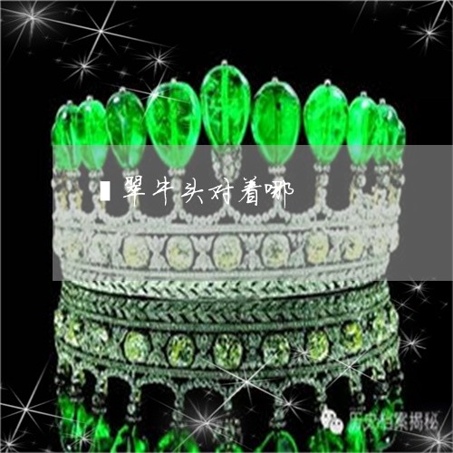翡翠牛头对着哪/2023032440362 翡翠牛头对着哪/2023032440362