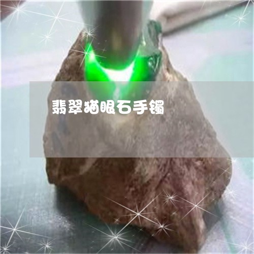 翡翠猫眼石手镯/2023032451503