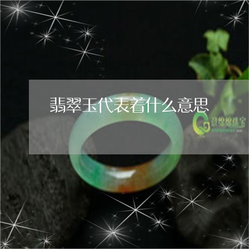 翡翠玉代表着什么意思/2023060905949