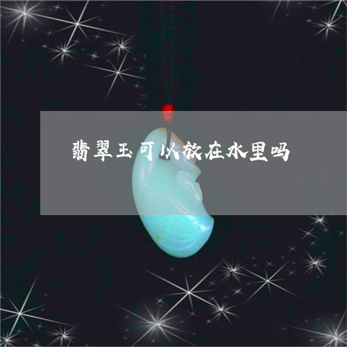 翡翠玉可以放在水里吗/2023060981614