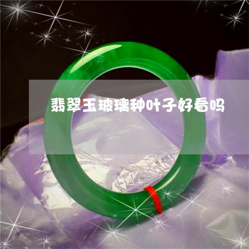 翡翠玉玻璃种叶子好看吗/2023071016038