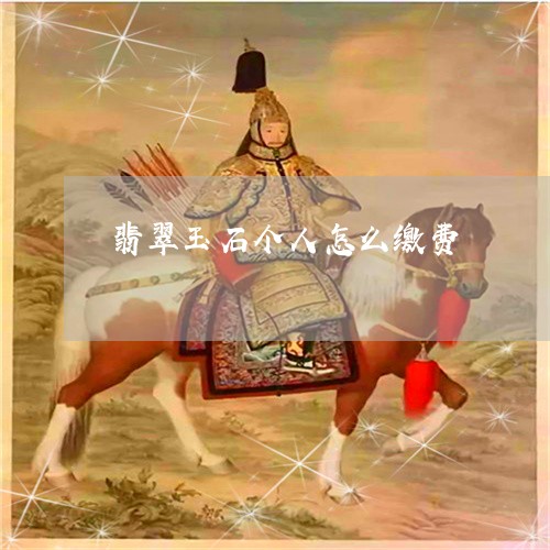 翡翠玉石个人怎么缴费/2023060969493