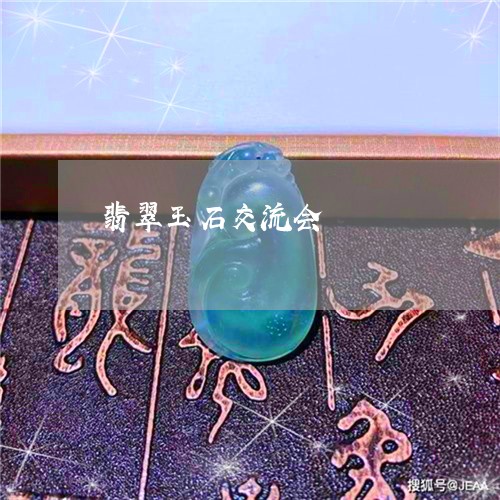 翡翠玉石交流会/2023032558469
