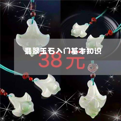 翡翠玉石入门基本知识/2023060915049