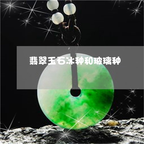 翡翠玉石冰种和玻璃种/2023060926148