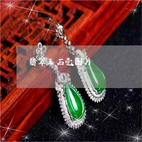 翡翠玉石壳图片/2023032506926