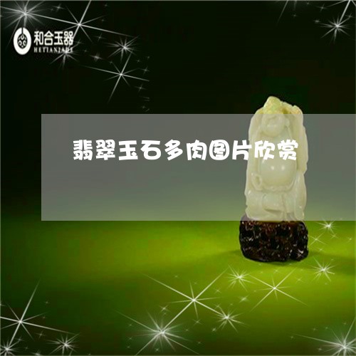 翡翠玉石多肉图片欣赏/2023060958371 翡翠玉石多肉图片欣赏/2023060958371