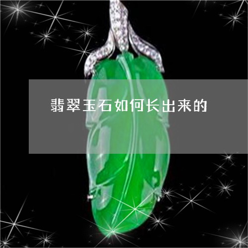 翡翠玉石如何长出来的 翡翠玉石如何长出来的