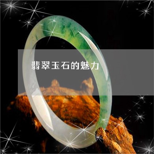 翡翠玉石的魅力/2023032548361 翡翠玉石的魅力/2023032548361