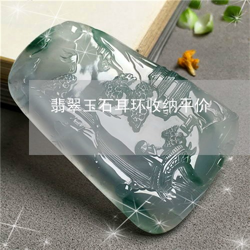 翡翠玉石耳环收纳平价/2023060973715