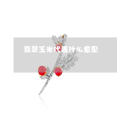 翡翠玉米代表什么意思/2023060913936 翡翠玉米代表什么意思/2023060913936