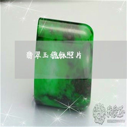 翡翠玉貔貅照片/2023032415047