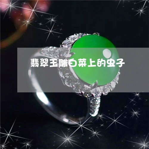 翡翠玉雕白菜上的虫子
