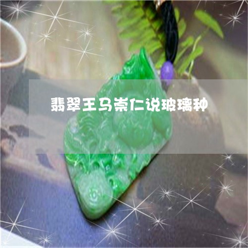 翡翠王马崇仁说玻璃种 翡翠王马崇仁说玻璃种