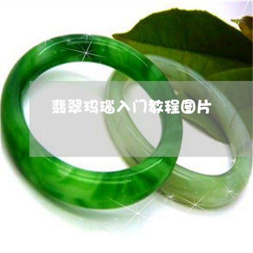 翡翠玛瑙入门教程图片 翡翠玛瑙入门教程图片
