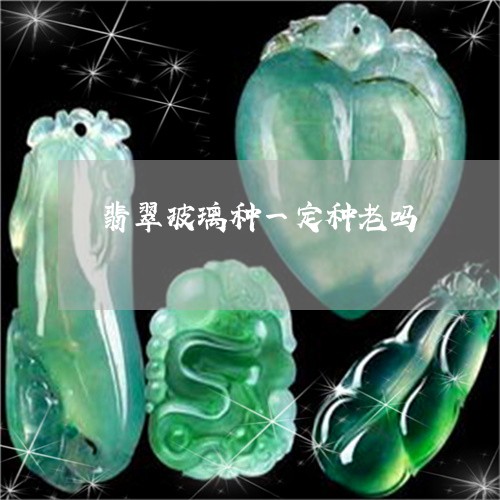 翡翠玻璃种一定种老吗
