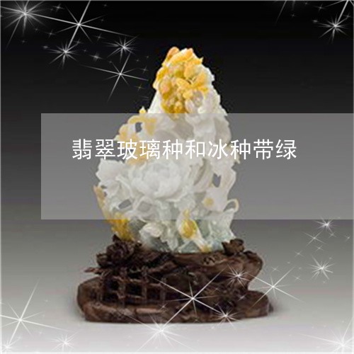 翡翠玻璃种和冰种带绿