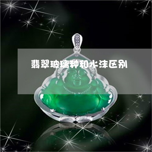 翡翠玻璃种和水沫区别