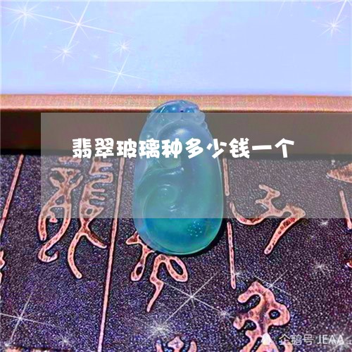 翡翠玻璃种多少钱一个 翡翠玻璃种多少钱一个