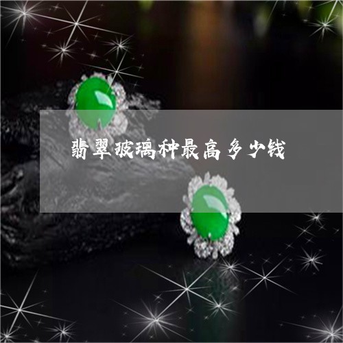 翡翠玻璃种最高多少钱