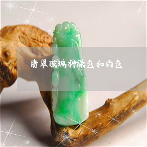 翡翠玻璃种绿色和白色/2023060849260