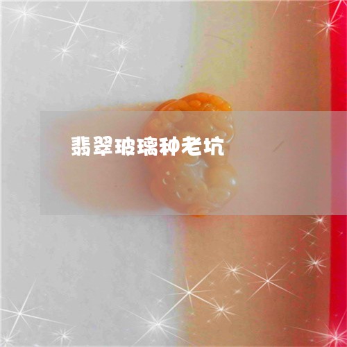 翡翠玻璃种老坑/2023032586158 翡翠玻璃种老坑/2023032586158