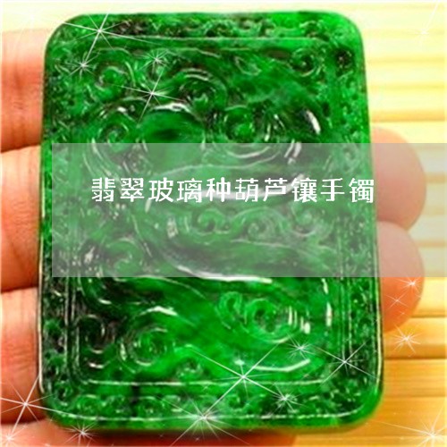 翡翠玻璃种葫芦镶手镯