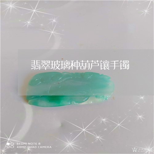 翡翠玻璃种葫芦镶手镯/2023060816159