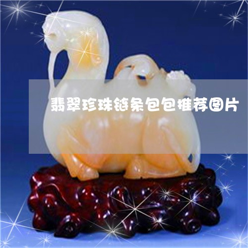 翡翠珍珠链条包包推荐图片/2023061917471