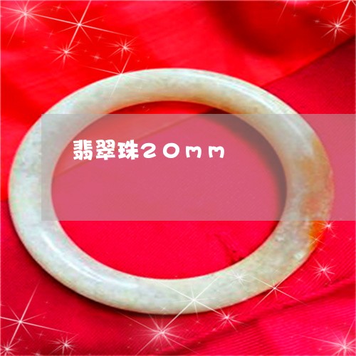 翡翠珠20mm/2023032594715 翡翠珠20mm/2023032594715