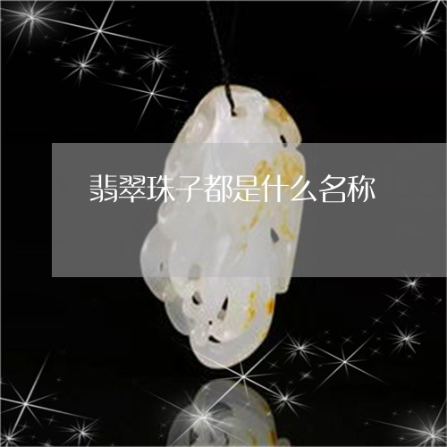 翡翠珠子都是什么名称/2023060860379