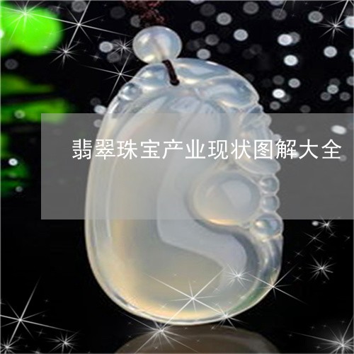 翡翠珠宝产业现状图解大全/2023061976160