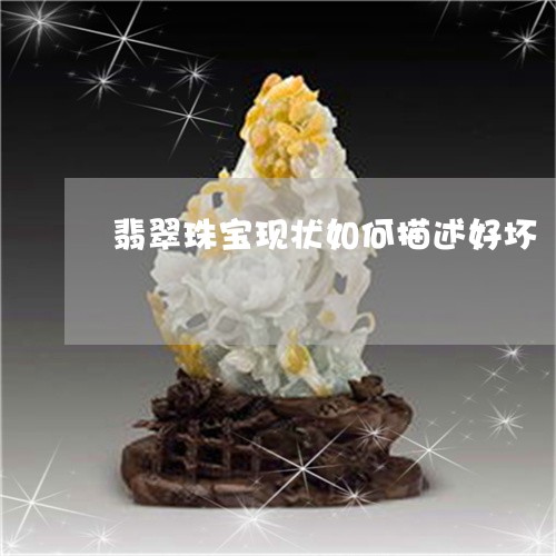 翡翠珠宝现状如何描述好坏/2023061995040