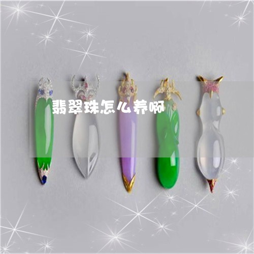翡翠珠怎么养啊/2023032468581 翡翠珠怎么养啊/2023032468581