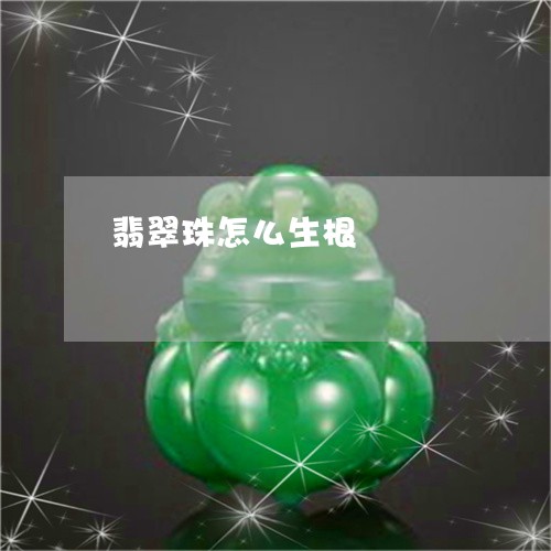 翡翠珠怎么生根/2023032483157 翡翠珠怎么生根/2023032483157