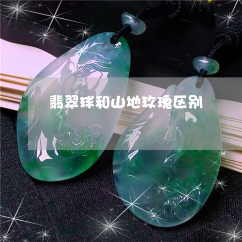 翡翠球和山地玫瑰区别 翡翠球和山地玫瑰区别