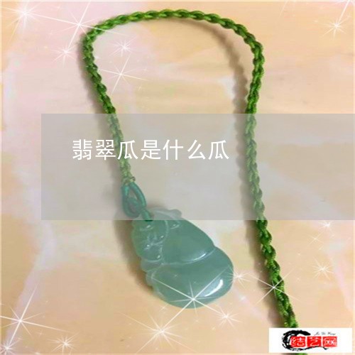 翡翠瓜是什么瓜/2023032550271