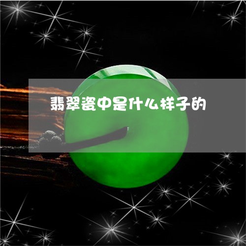翡翠瓷中是什么样子的