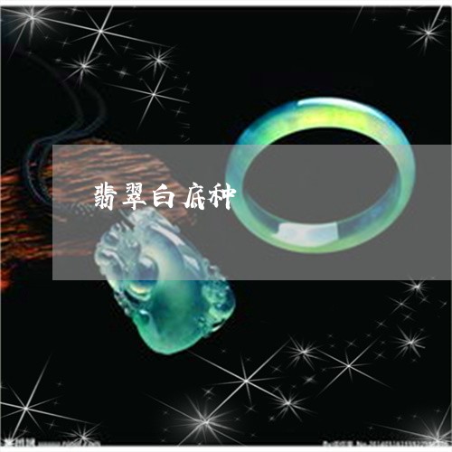 翡翠白底种/2023071318038