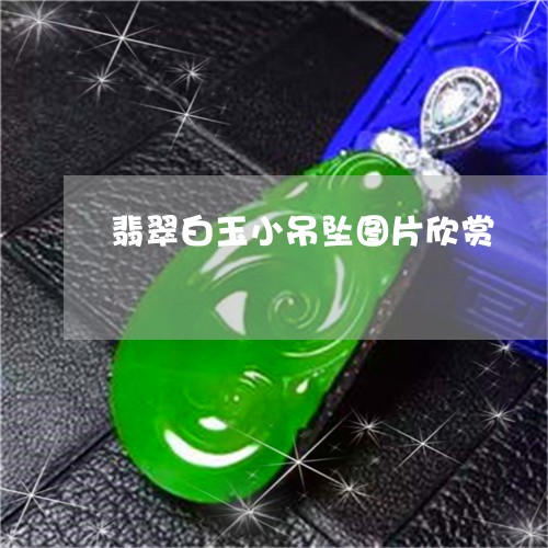 翡翠白玉小吊坠图片欣赏/2023071028369 翡翠白玉小吊坠图片欣赏/2023071028369