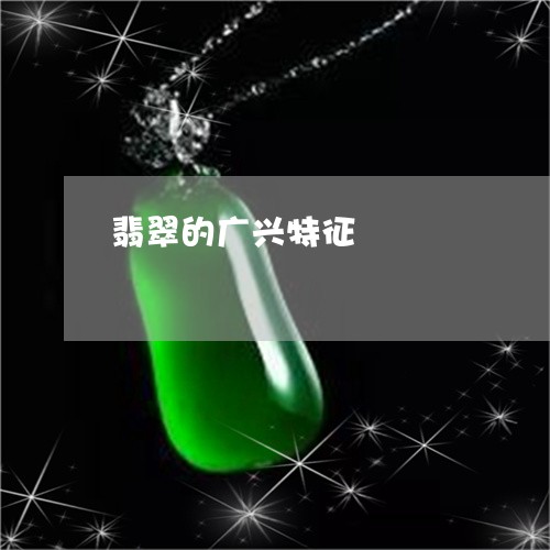 翡翠的广兴特征/2023032514836