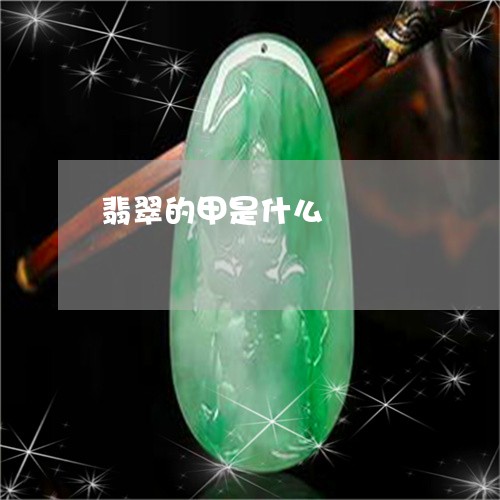 翡翠的甲是什么/2023032536161 翡翠的甲是什么/2023032536161