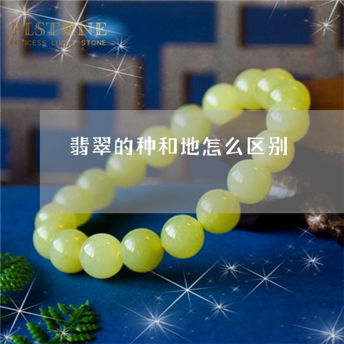 翡翠的种和地怎么区别