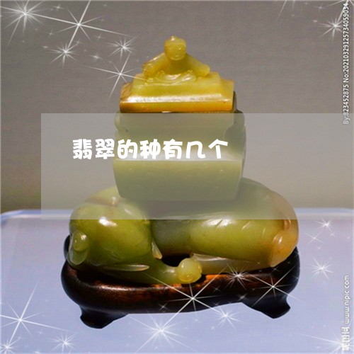 翡翠的种有几个/2023032504825