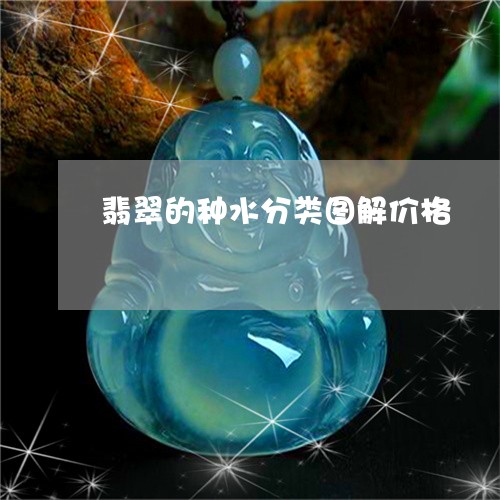 翡翠的种水分类图解价格/2023070814948