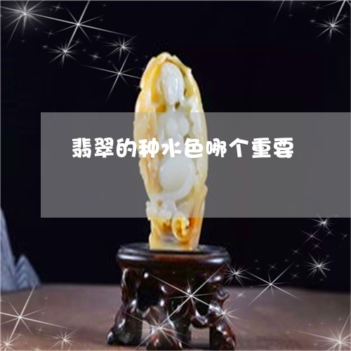 翡翠的种水色哪个重要 翡翠的种水色哪个重要